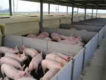 Sert&eacute;snevelde