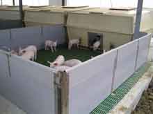 Sert&eacute;snevelde